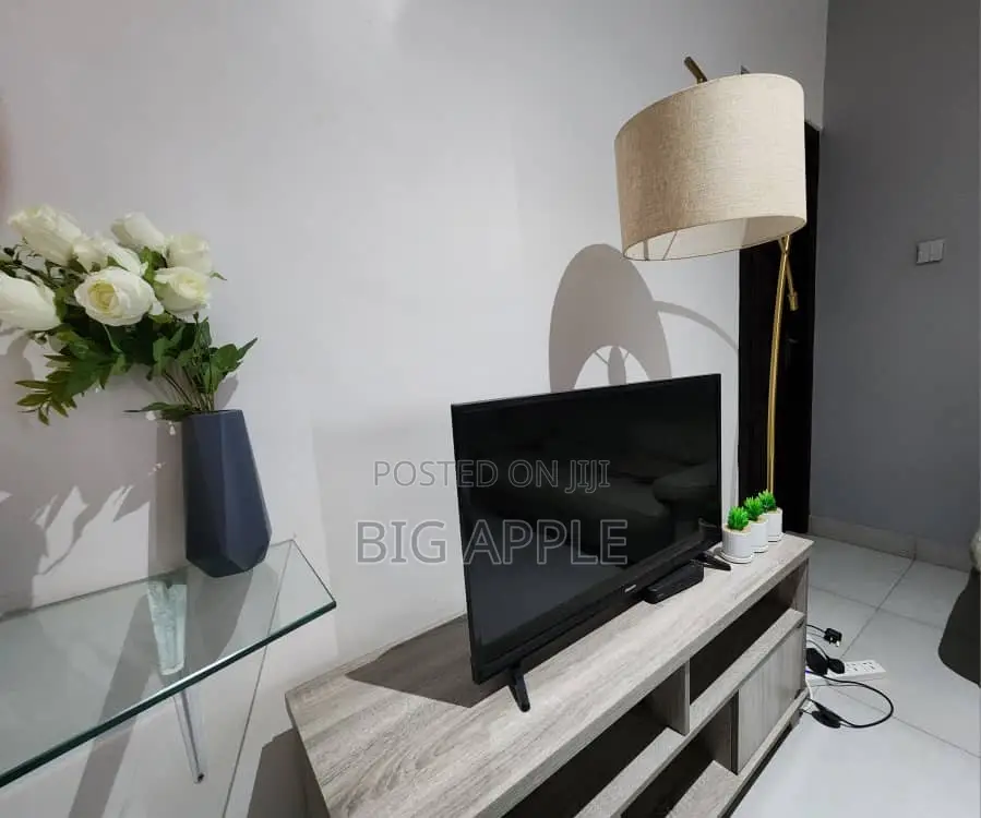Furnished 1bdrm Apartment in East Legon for rent