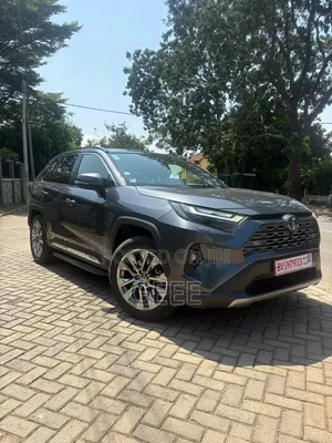 Toyota RAV4 2024 Silver
