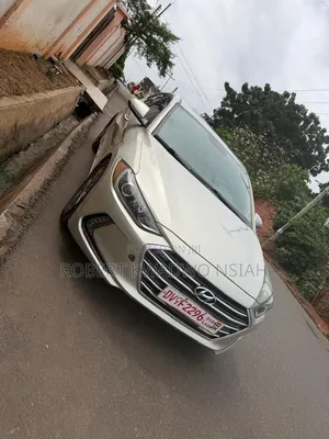 Hyundai Elantra 2017 Gold