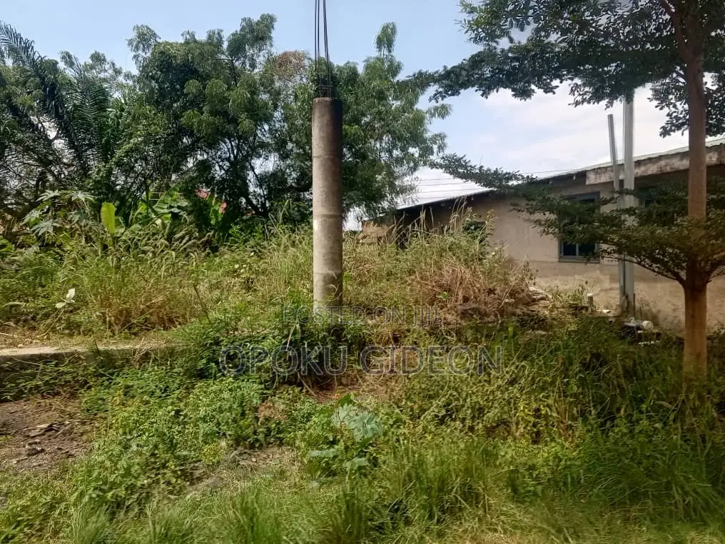 Half Plot of Land for Sale at Olebu Canada
