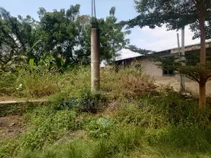 Half Plot of Land for Sale at Olebu Canada
