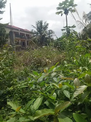 Half Plot of Land for Sale at Olebu Canada