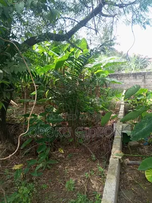 Half Plot of Land for Sale at Olebu Canada