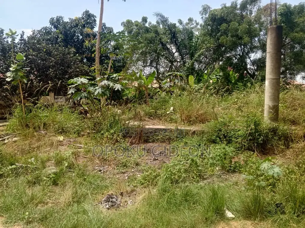 Half Plot of Land for Sale at Olebu Canada