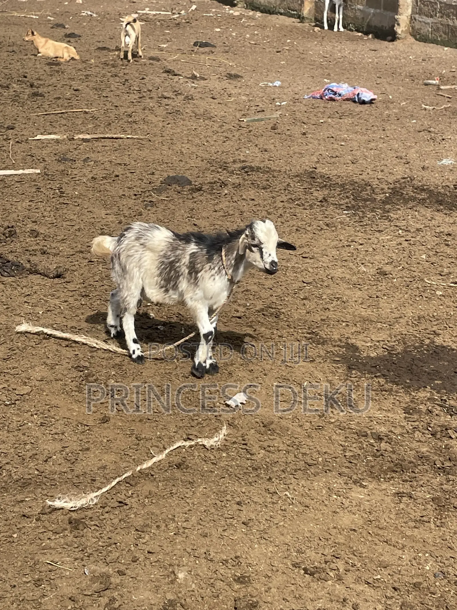 Pritiyad Farm