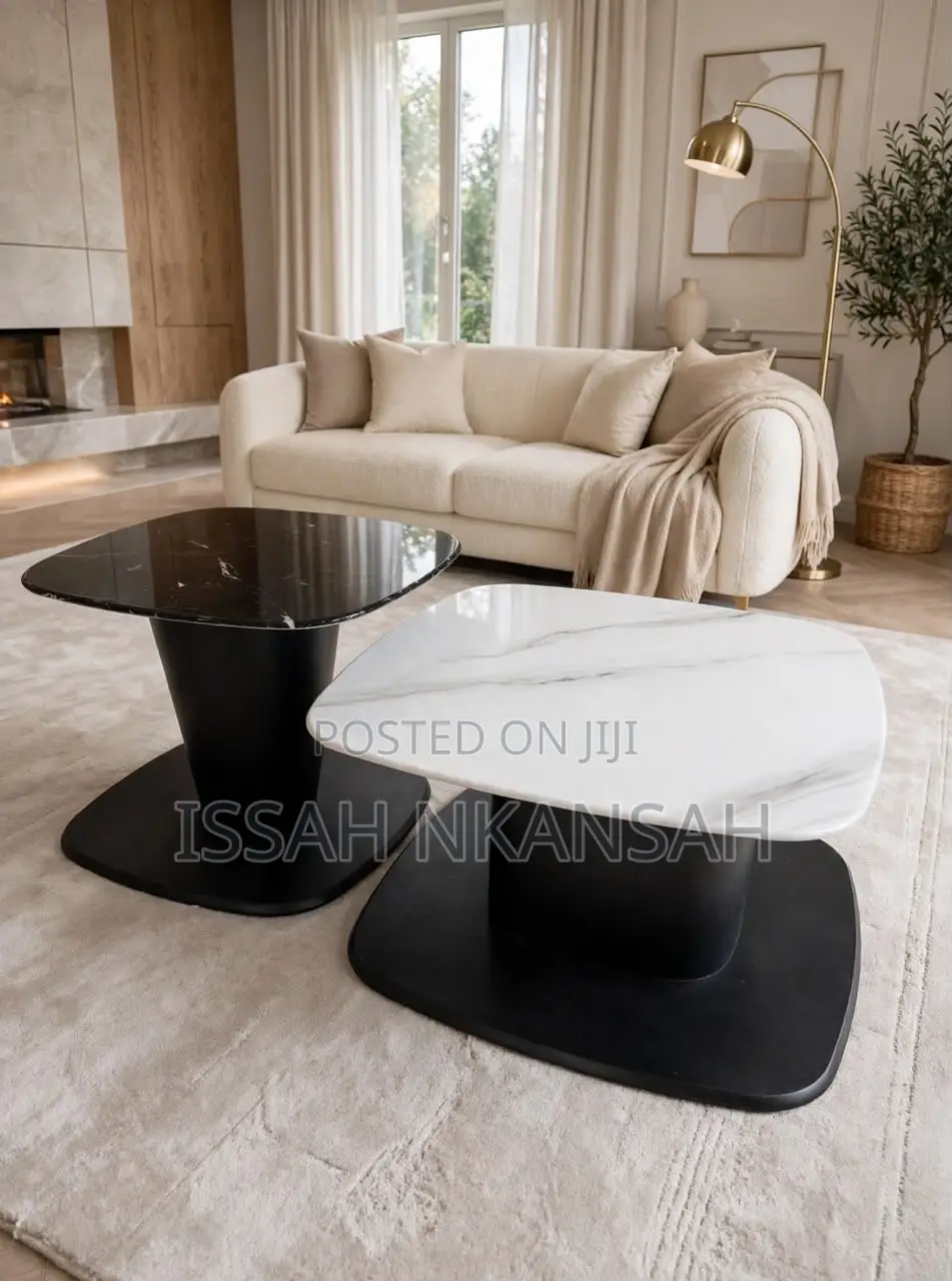 White +Black Marble Set