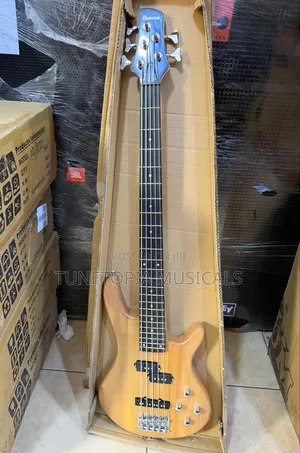 Ibanez 5-String Electric Bass Guitar (Passive)
