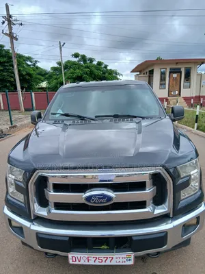 Ford F-150 2017 Gray