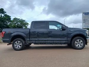 Ford F-150 2017 Gray