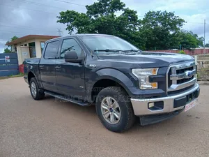 Ford F-150 2017 Gray