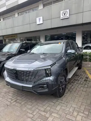 New Changan Hunter Plus 2.0 Petrol 4x4 2025 Gray