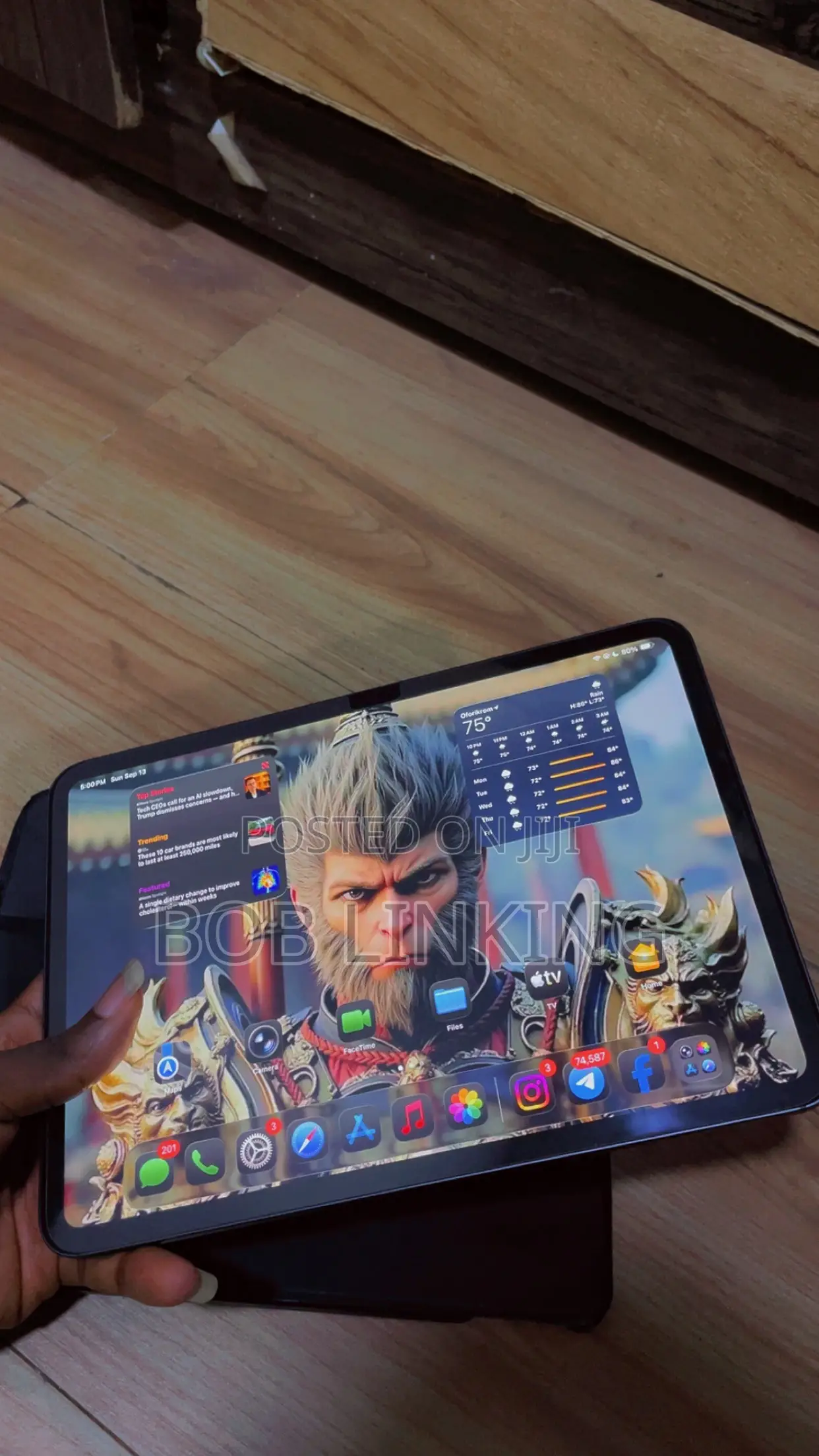 Apple iPad Pro 11 (2024) 256 GB Gray