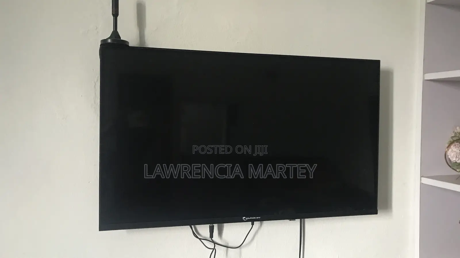 32 Inch Dolphins Bay TV