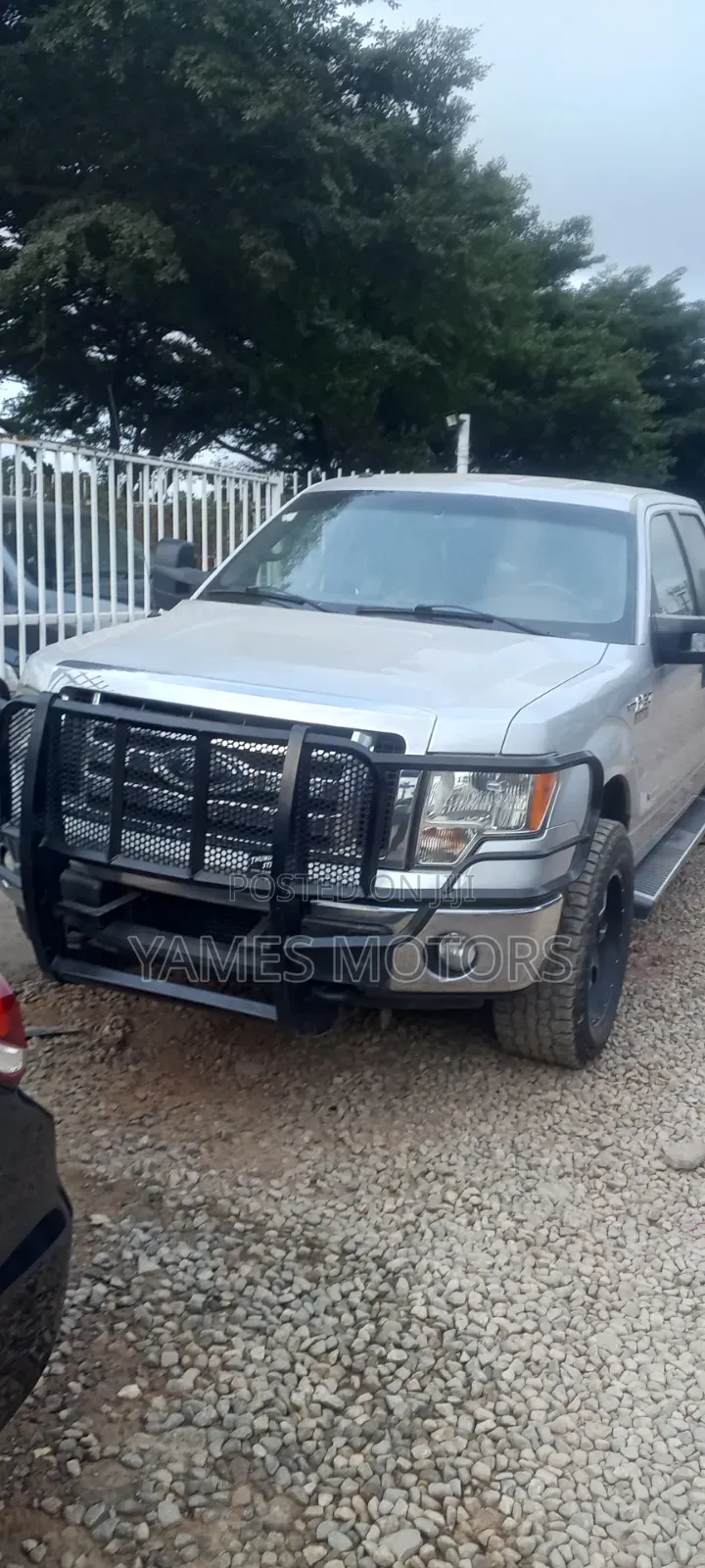Ford F-150 2012 Silver