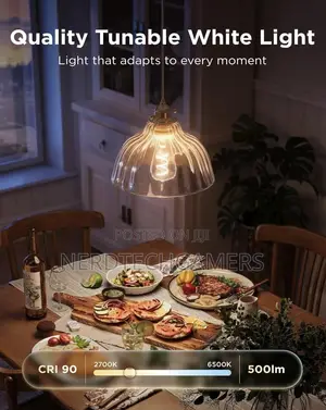 Govee Edsion Bulb