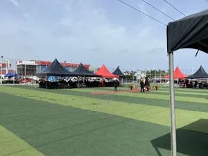 Marquee Canopy