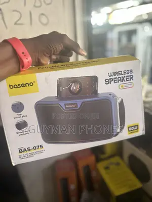 BAS-075 60W Wireless Speaker