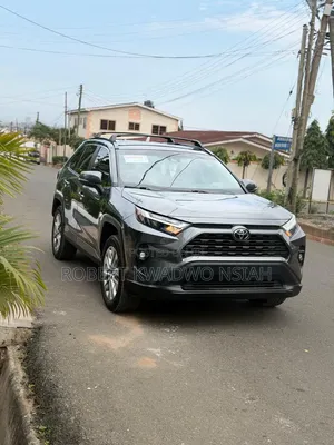 Toyota RAV4 XLE 2022 Gray