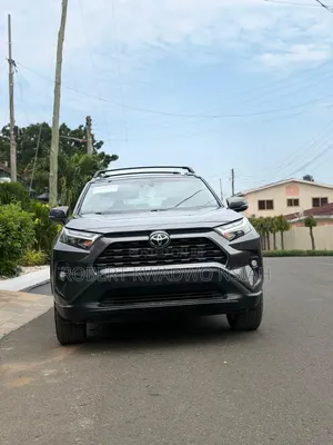Toyota RAV4 XLE 2022 Gray