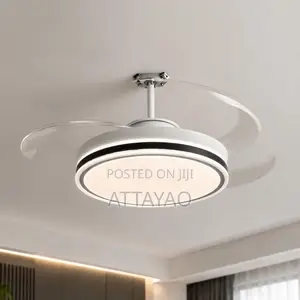 Ceiling Fan With Light