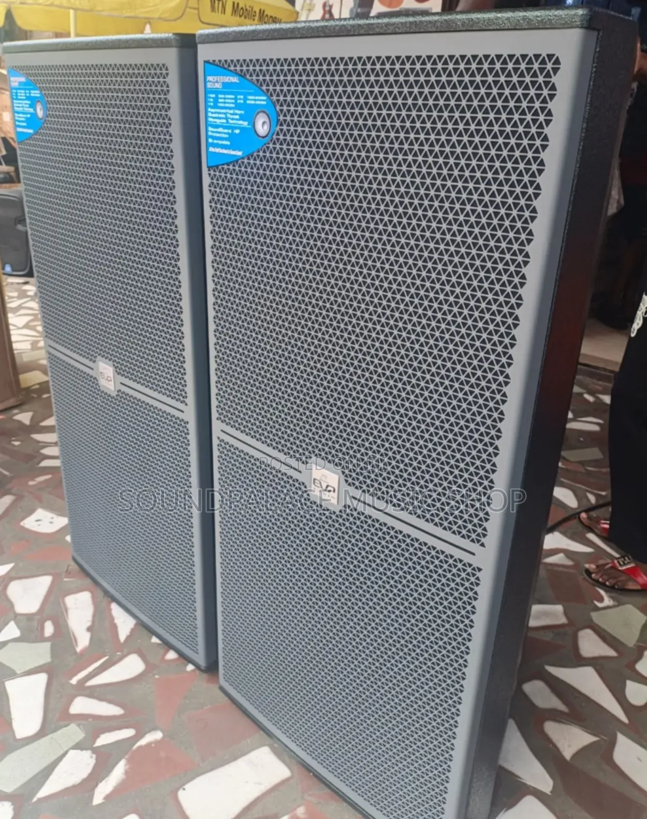 EVP Professional Full-Range Passive Loudspeakers