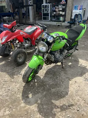 Honda Hornet 2011 Green