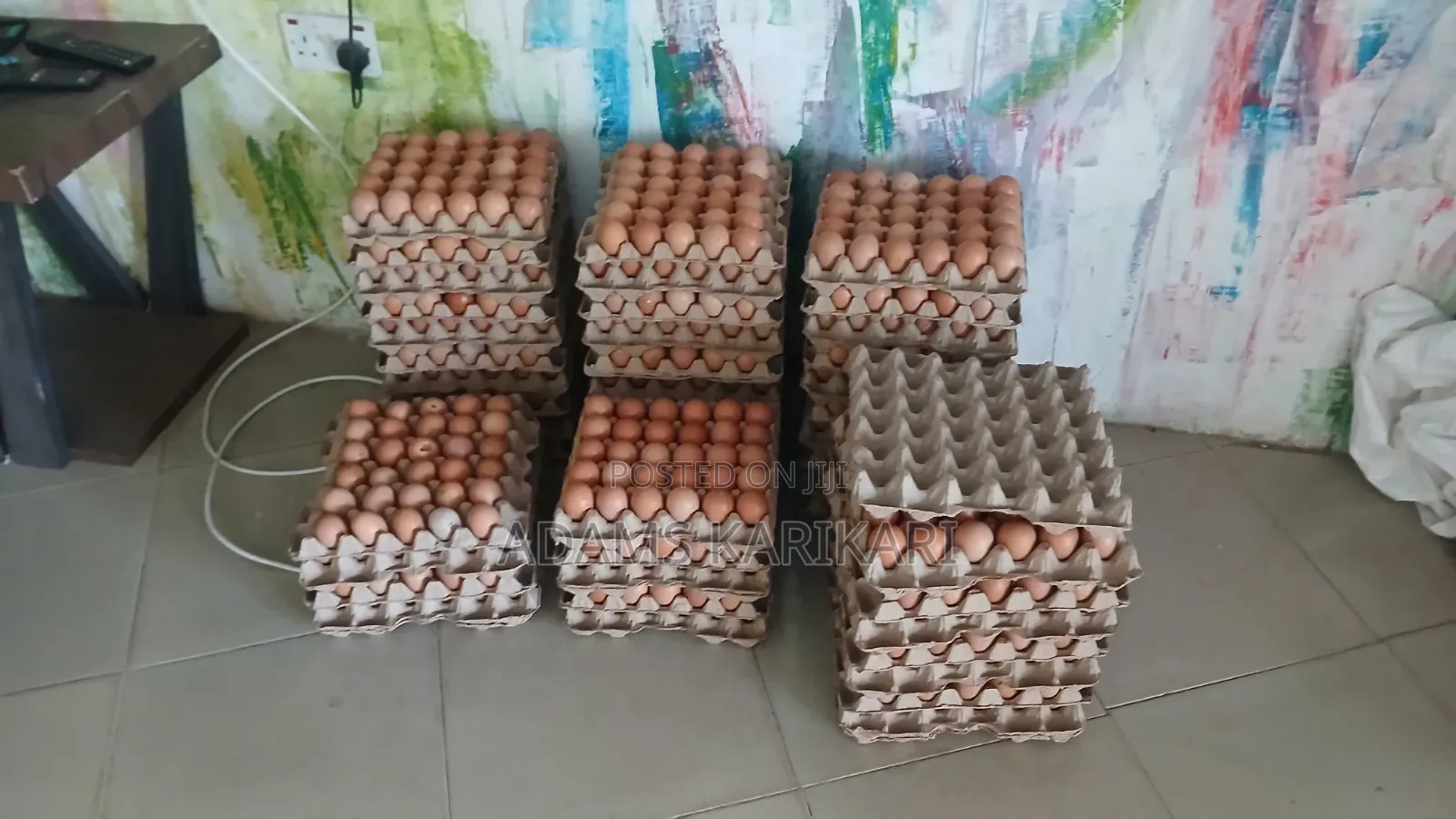 Chicken Fresh Eggs