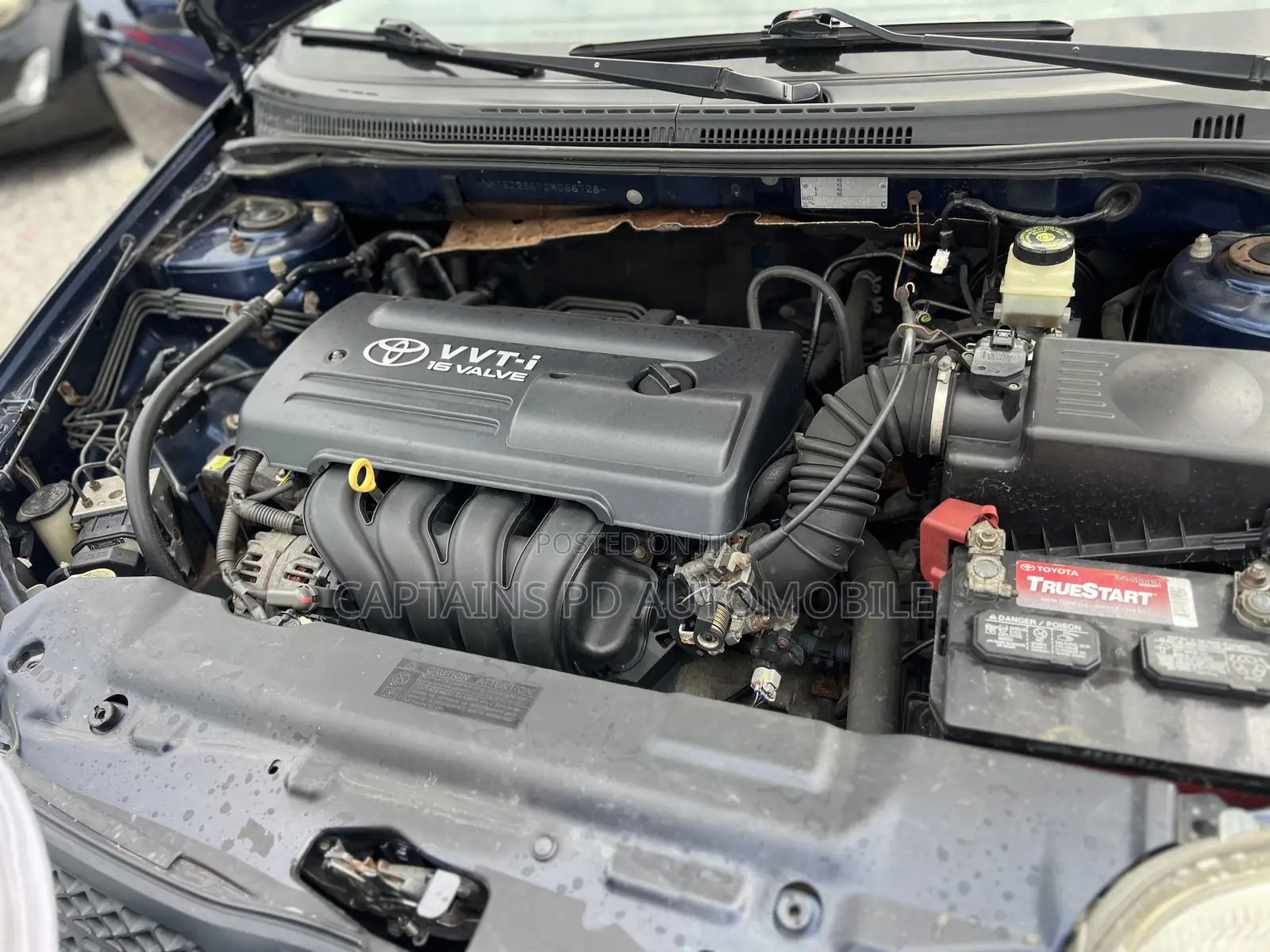 Toyota Corolla 2008 Blue