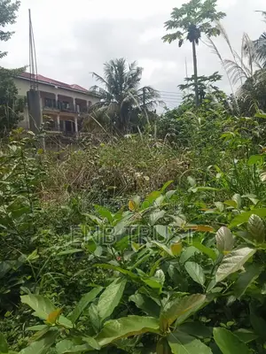 Half Plot of Land for Sale at Pokuase Canada
