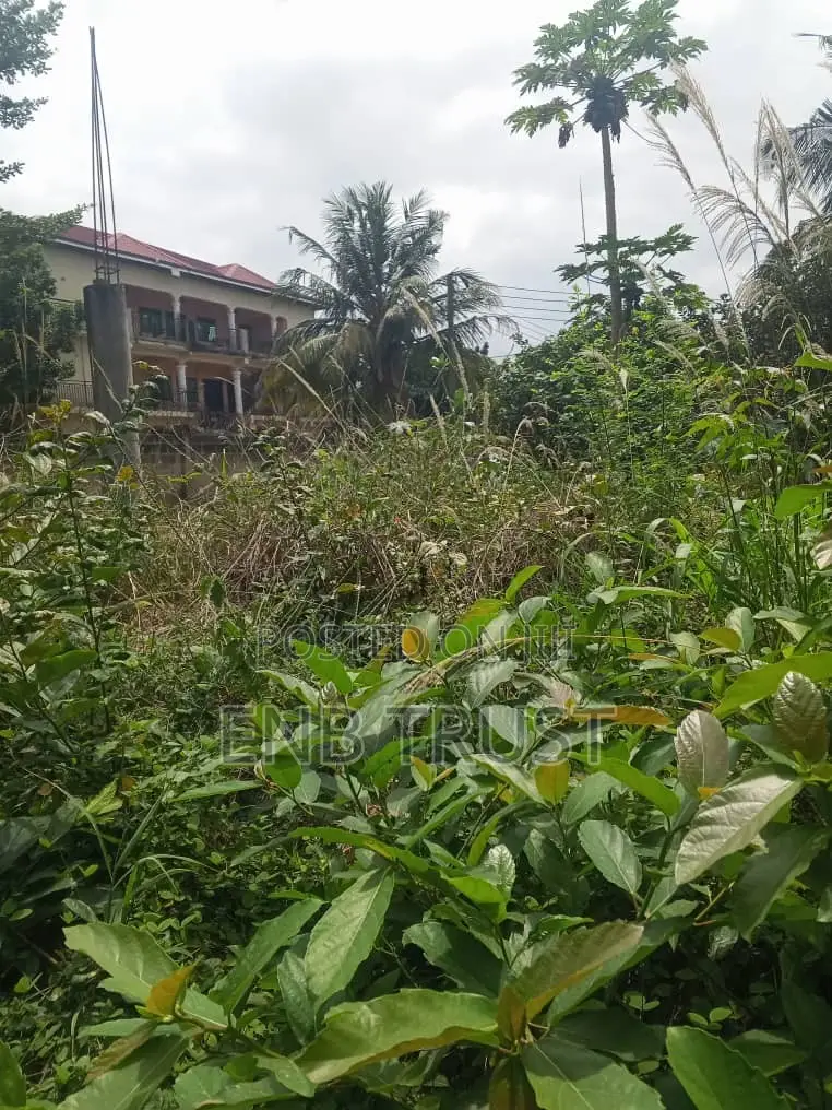 Half Plot of Land for Sale at Pokuase Canada