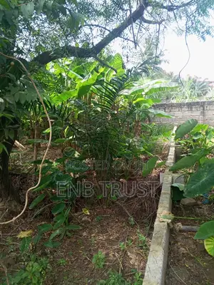 Half Plot of Land for Sale at Pokuase Canada