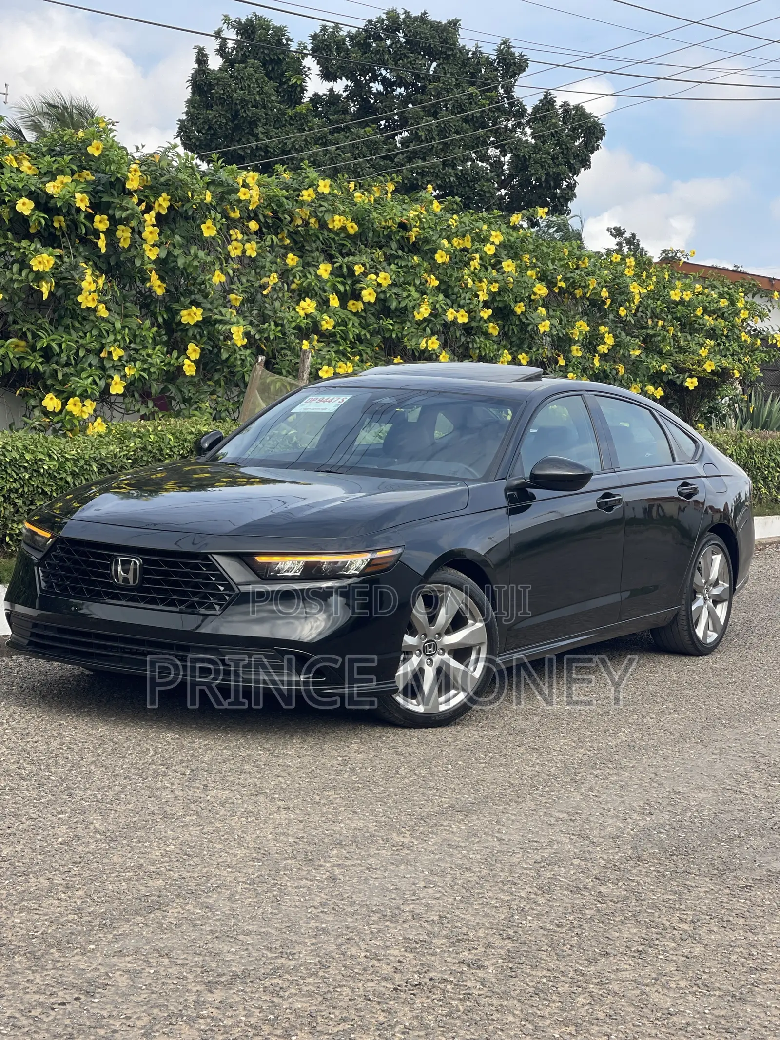 Honda Accord 2025 Black