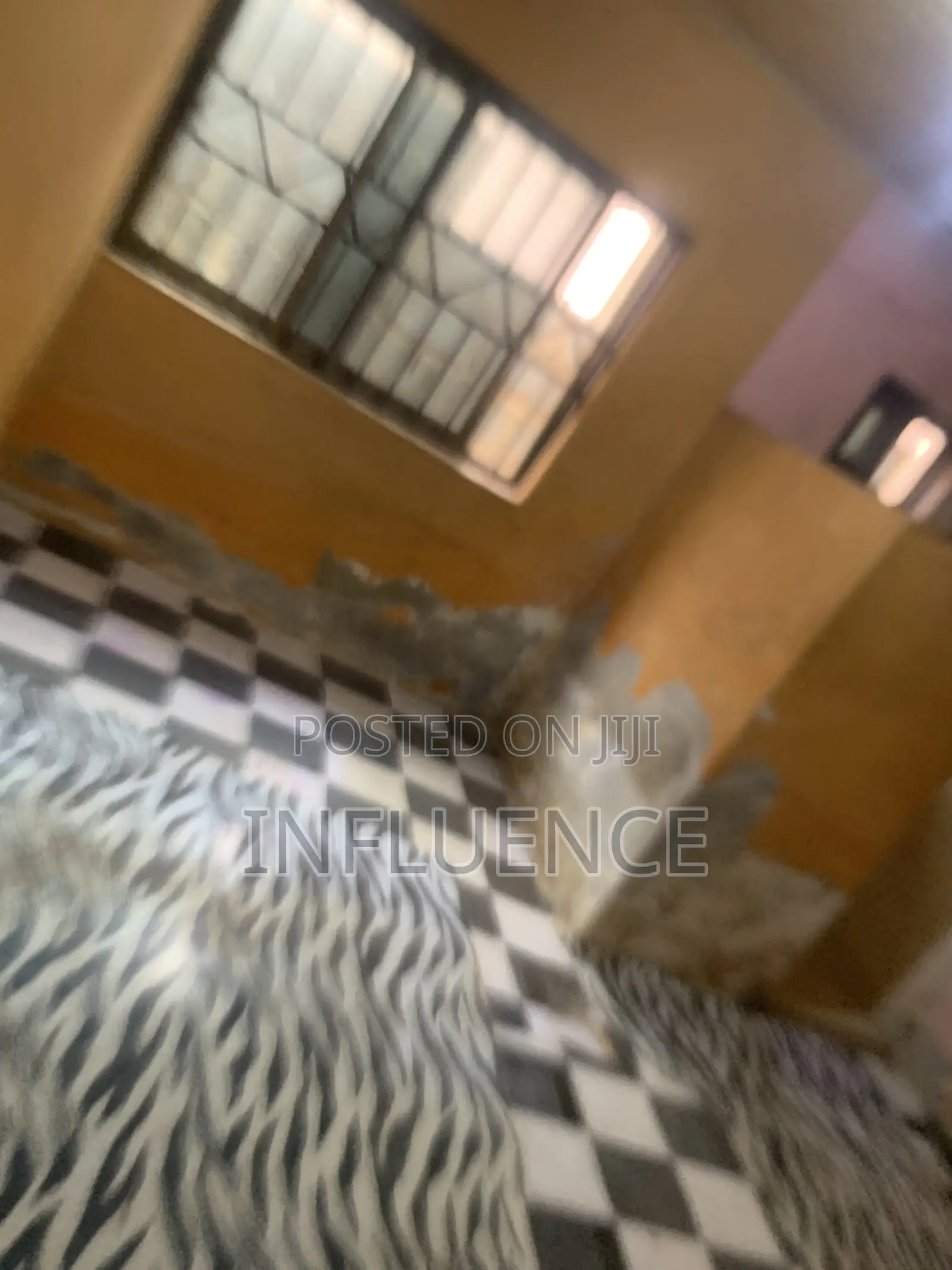 1bdrm Apartment in Ogbojo, East Legon for rent