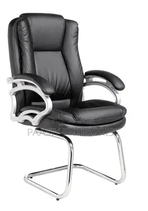 Executive Office Leather Visitors Chair