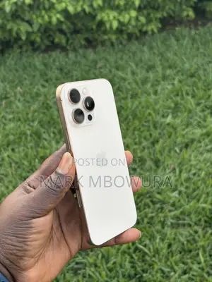 Apple iPhone 16 Pro Max 256 GB Gold