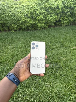 Apple iPhone 16 Pro Max 256 GB Gold