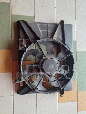 Hyundai Fans