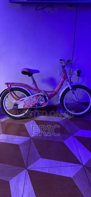 Bicycle for Kids 3 Years and Above