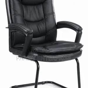 Executive Office Leather Visitors Chair