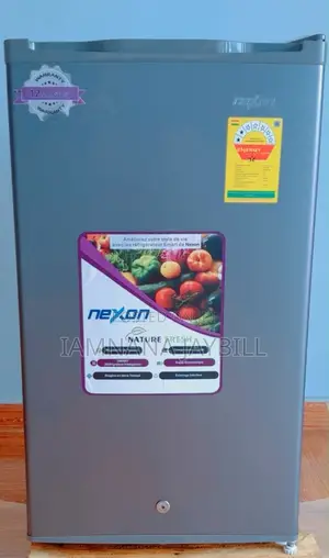 Nexon Fridge 90l