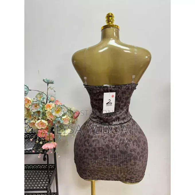 Sequin Lace Women Dress