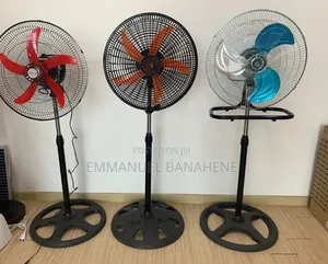 Standing Fan