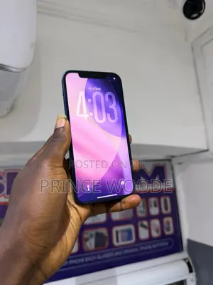 Apple iPhone 12 Pro Max 256 GB Blue