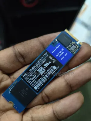 1 Terabyte Western Digital