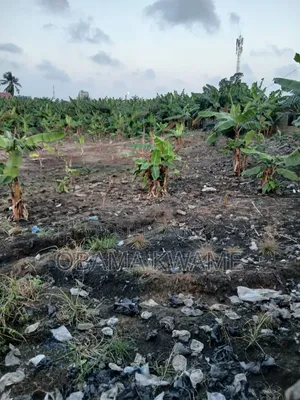 Titled 1 Acre of Land for Sale Around Achimota Papaye