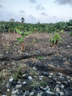 Titled 1 Acre of Land for Sale Around Achimota Papaye