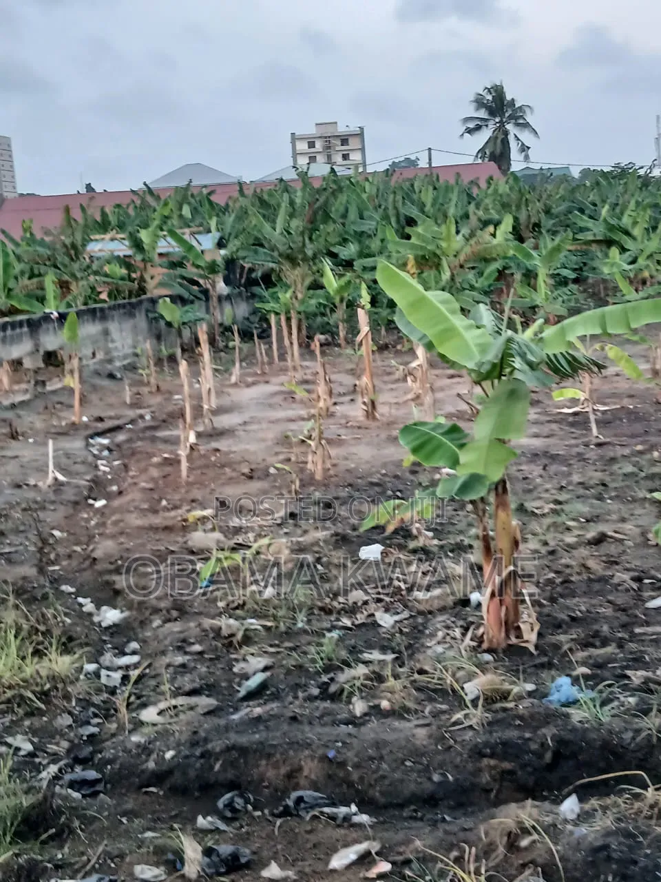 Titled 1 Acre of Land for Sale Around Achimota Papaye