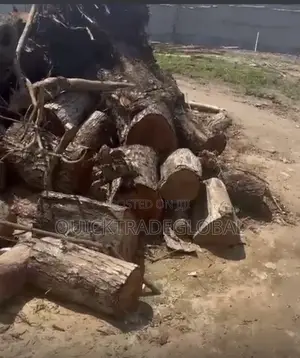 Hard Neem Firewood Logs Per Kia Ryno - Tema/Accra - Smoking Bakery