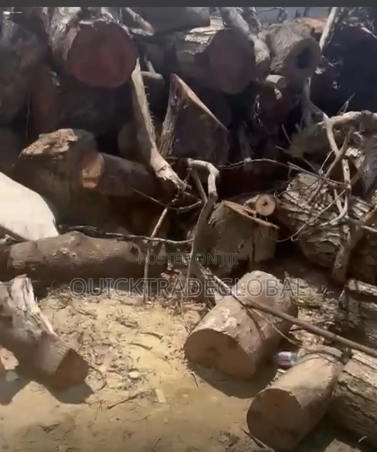 Hard Neem Firewood Logs Per Kia Ryno - Tema/Accra - Smoking Bakery