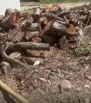 Hard Neem Firewood Logs Per Kia Ryno - Tema/Accra - Smoking Bakery